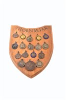 Lot 5 - A Thornbriar Bulldog Club medal shield hung with various medals including a 1907 British Bulldog Club medal
