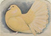 Lot 295 - Charles Frederick Tunnicliffe, "Yellow Fantail", pencil and watercolour.