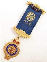 Lot 223 - Boxed 9ct gold and enamelled RAOB medallion