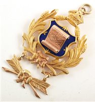 Lot 273 - Small 9ct gold and enamelled RAOB Secretary's medallion