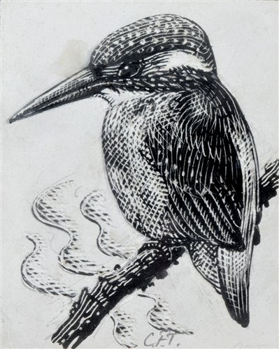 280 - C.F. Tunnicliffe, "Kingfisher", ink on scraperboard.