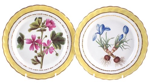 Lot 27 - Two Derby plates