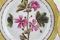 Lot 27 - Two Derby plates