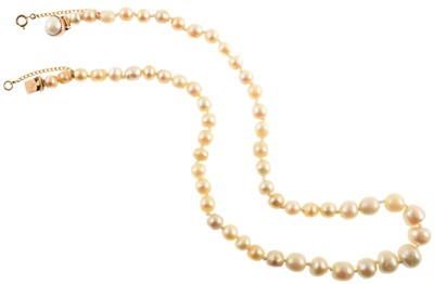 Lot 68 - Single row of fresh water pearls with gold clasp