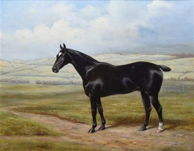 Lot 323 - English School, 20th century, Portrait of a horse, oil.