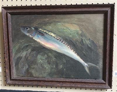 Lot 438 - Tudor St. George Tucker, "The Mackerel", oil.