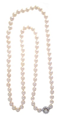 Lot 99 - A cultured pearl necklace