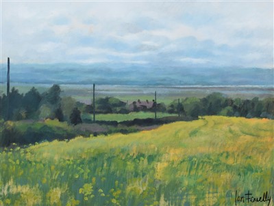 Lot 421 - Ian Fennelly, "Rapeseed Field", oil and another painting, together with signed print (3).