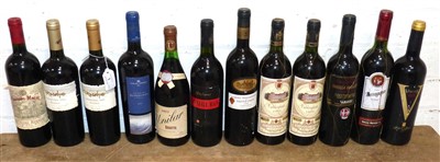 Lot 1 - 12 Bottles Mixed Lot Drinking Wines to include Chile, Portugal and Spain etc.