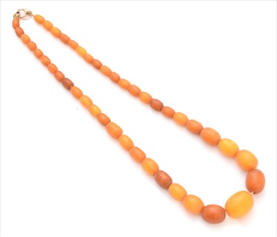 Lot 183 - A butterscotch amber necklace