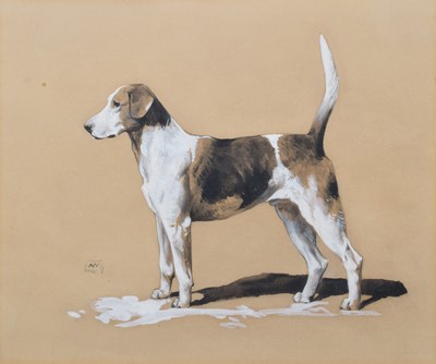 Lot 238 - Arthur Wardle, Foxhound, watercolour.