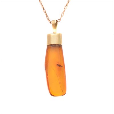 Lot 66 - An amber pendant