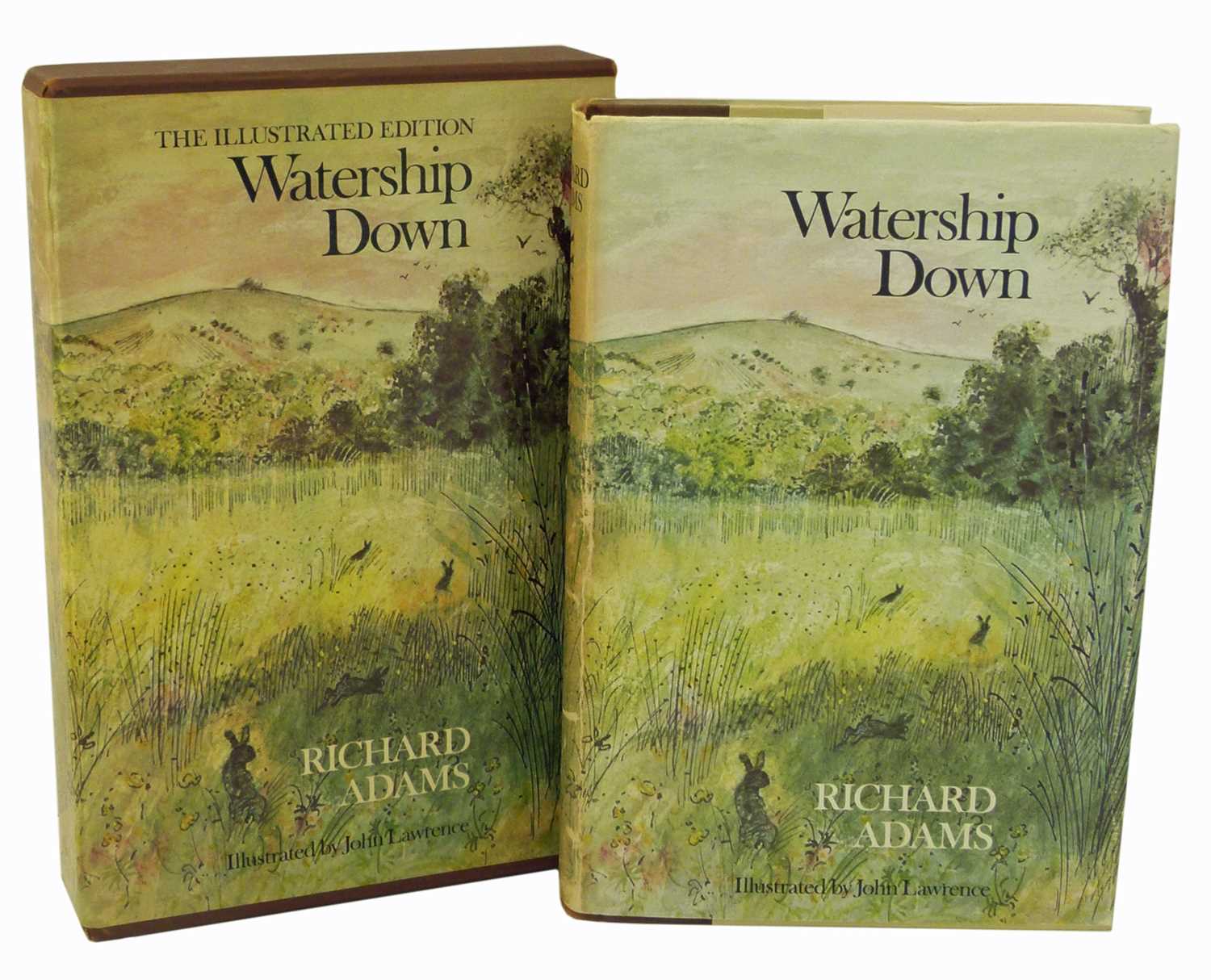 Lot 39 - Richard Adams, Watership Down reprint 1980, dust cover and box slip.
