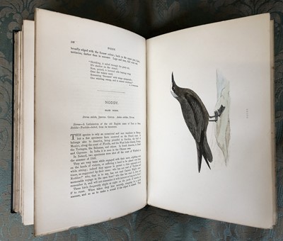 Lot 48 - Morris Rev F.O. A History of British Birds and Natural History of Nests and Eggs of British Birds