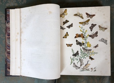 Lot 52 - Humphreys H.N and Westwood, J.O British butterflies