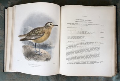 Lot 40 - Seebohm. H. The Geographical Distribution of the Charadriidae