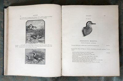 Lot 40 - Seebohm. H. The Geographical Distribution of the Charadriidae