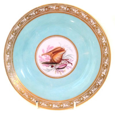 Lot 177 - Flight Barr and Barr plate circa 1820 painted with shells