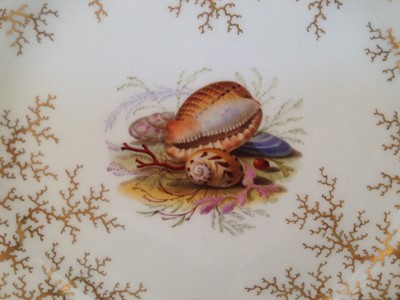 Lot 94 - Flight Barr and Barr plate circa 1820 painted with shells in a seaweed gilt border