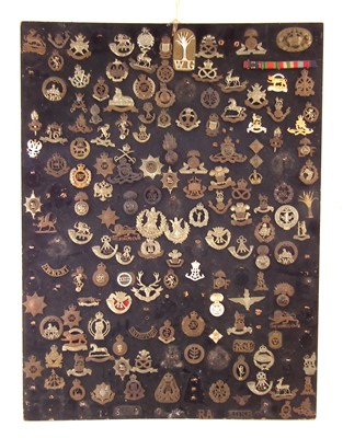 Lot 266 - British military cap badge display