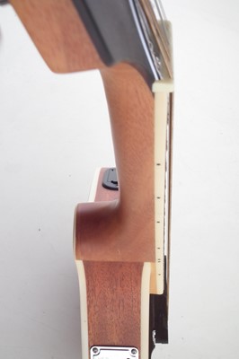 Lot 18 - Ozark mandolin in hard case