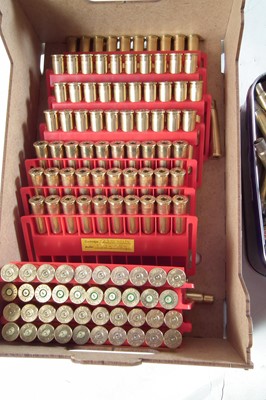 Lot 248 - .308 and .303 cases