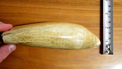 Lot 350 - 19th-century Scrimshaw whale tooth