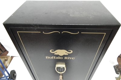 Lot 179 - Buffalo Arms gun safe