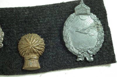 Lot 249 - Twenty cap badges