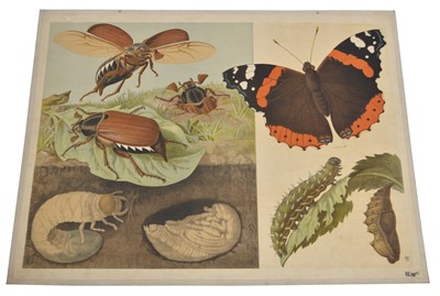 Lot 84 - Two Insect Posters