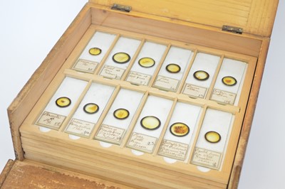 Lot 167 - Square pine box with hinged lid containing eleven trays of microscope slides