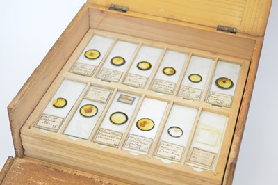 Lot 167 - Square pine box with hinged lid containing eleven trays of microscope slides