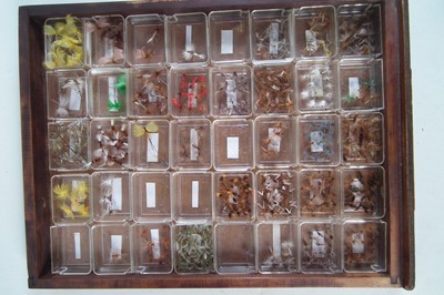 Lot 179 - Massive collection of fishing flies