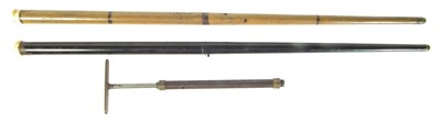 Lot 263 - Two Victorian air canes and pump