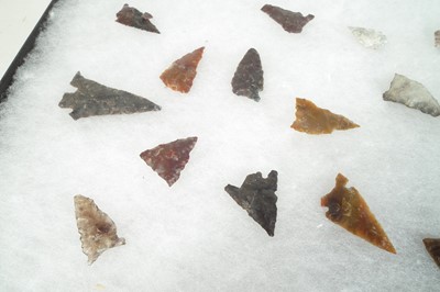 Lot 482 - Cased collection of twenty one flint arrow heads