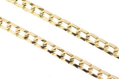 Lot 28 - A 9ct gold chain necklace