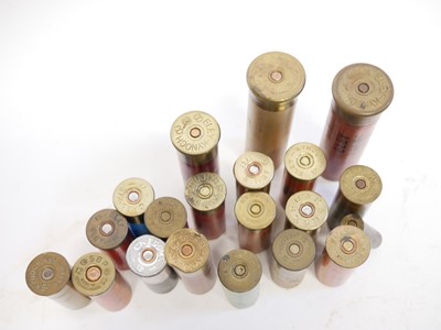 Lot 238 - Collection of shotgun collectors cartridges LICENCE REQUIRED
