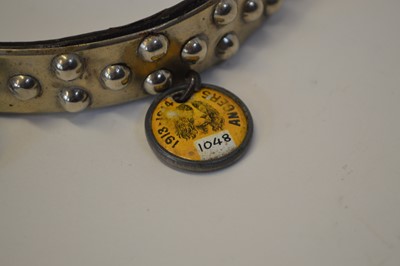 Lot 148 - Metal & Leather Dog Collar