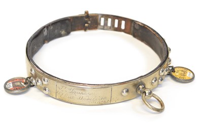 Lot 148 - Metal & Leather Dog Collar