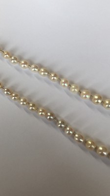 Lot 33 - A pearl and diamond necklace