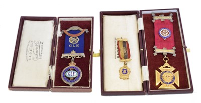 Lot 248 - Two Order of the Buffalo medals