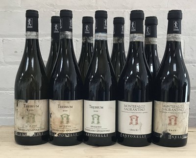 Lot 85 - 9 Bottles Mixed Lot from Antonelli San Marco