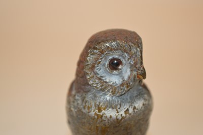 Lot 32 - Cold painted bronze owl