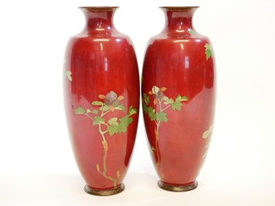 Lot 163 - Pair of Japanese Cloisonne vases