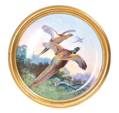 Lot 140 - Painted Porcelain Plaque of Pheasants
