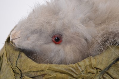 Lot 171 - Late 19th Century French automaton toy of a rabbit in a cabbage