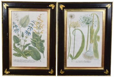 Lot 36 - Pair of botanical engravings