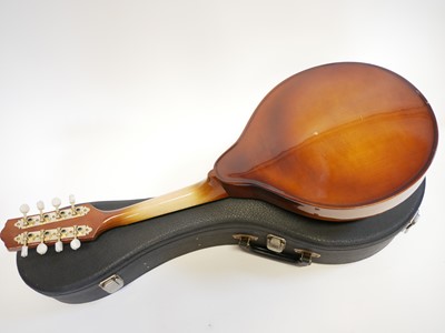 Lot 67 - Ibanez mandolin in case