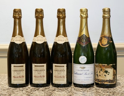 Lot 24 - 5 bottles of mixed Champagne