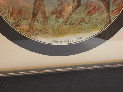 Lot 531 - Framed target